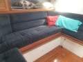 Salar 40