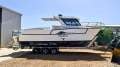 Abcat 8M