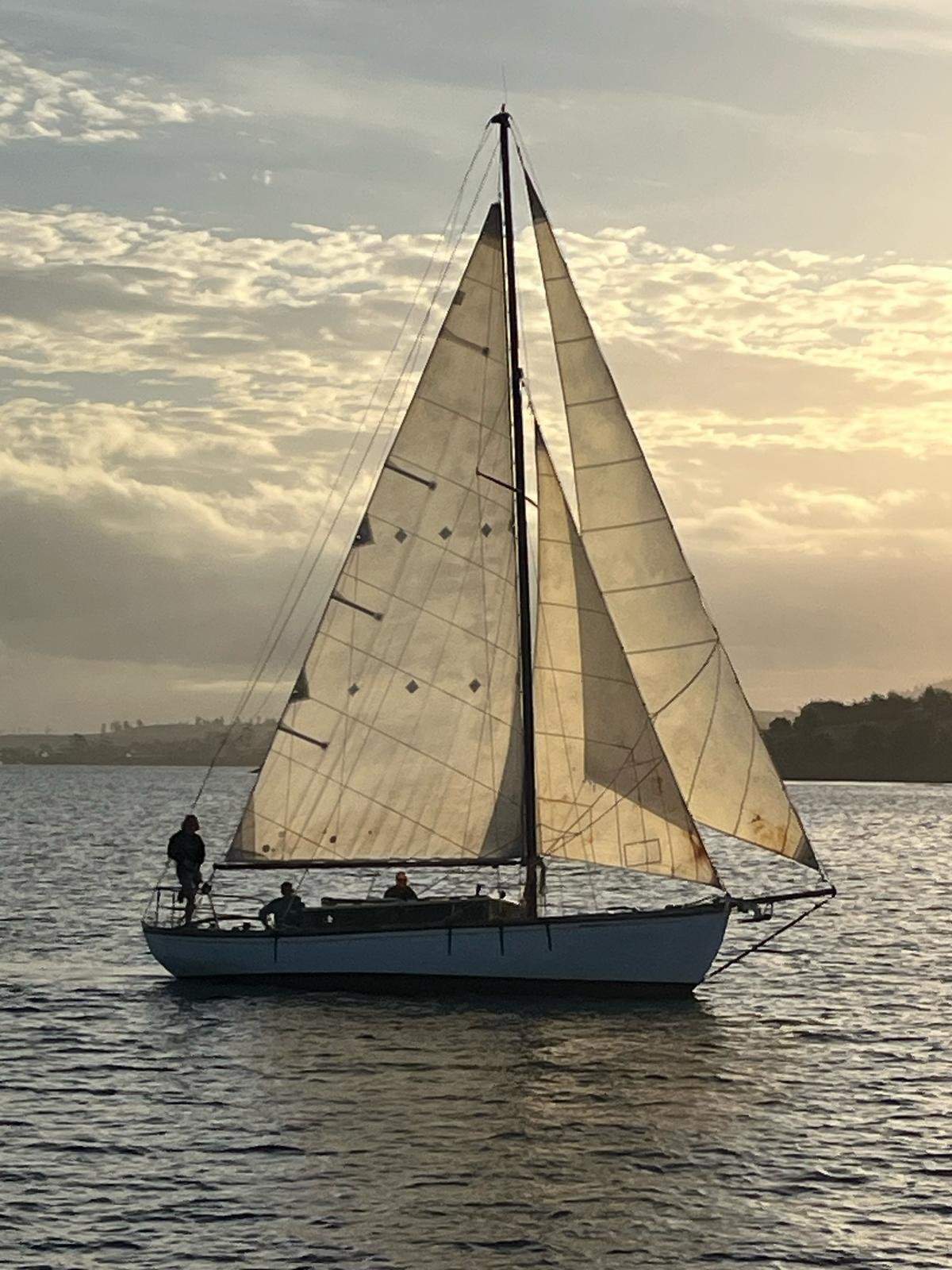 Albatross canoe stern designed by W D Bailey of NSW 1927