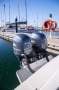 Bertram 25 Flybridge OUTBOARDS, NEW SALOON/GALLEY, GREAT CONDITION!!