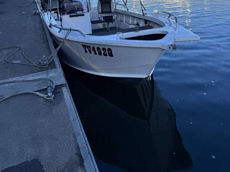 Stessco Fisherman 450EC
