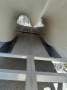 SpeedCat Built by Amanzi Marine Co Ltd
