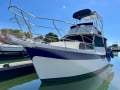 Cuddles 30 Flybridge Cruiser