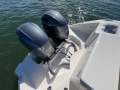 Pursuit DC266 -2022MY