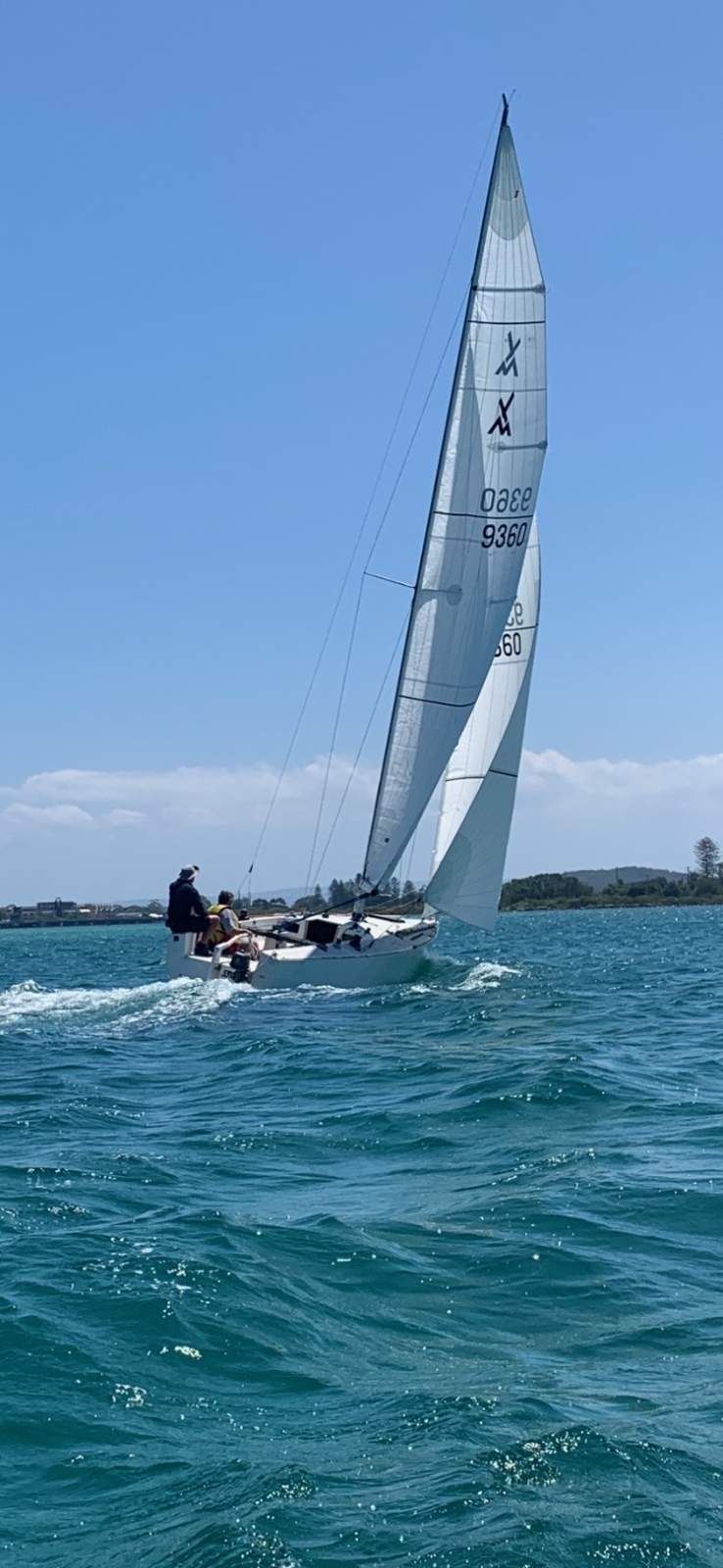 Adams 10