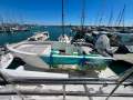 King Cat 47 Cruiser