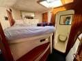 King Cat 47 Cruiser
