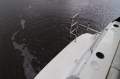 Bayliner 285 Cruiser