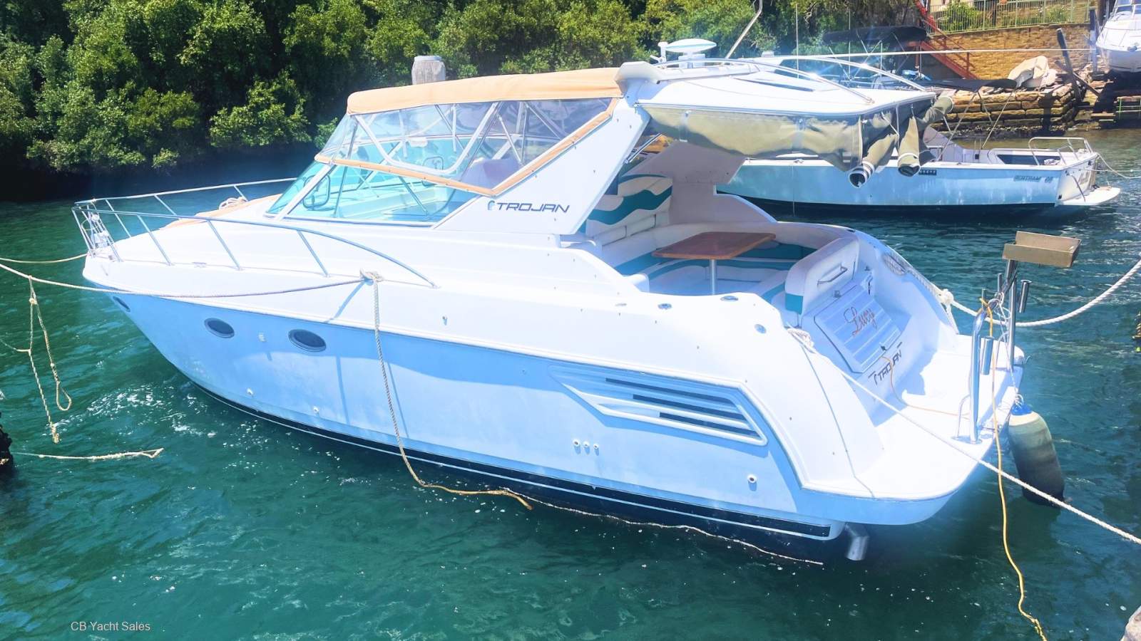 Carver 36 Trojan
