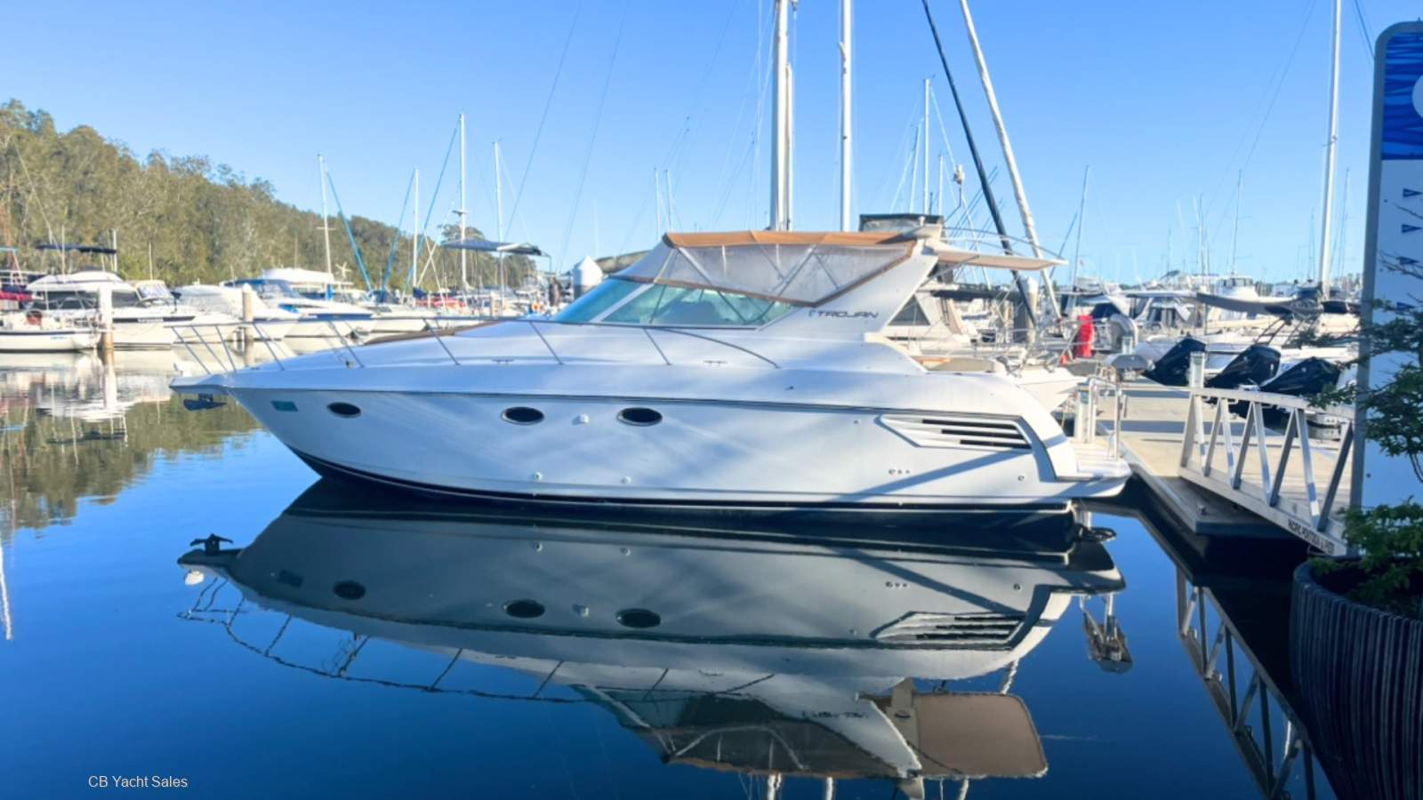 Carver 36 Trojan