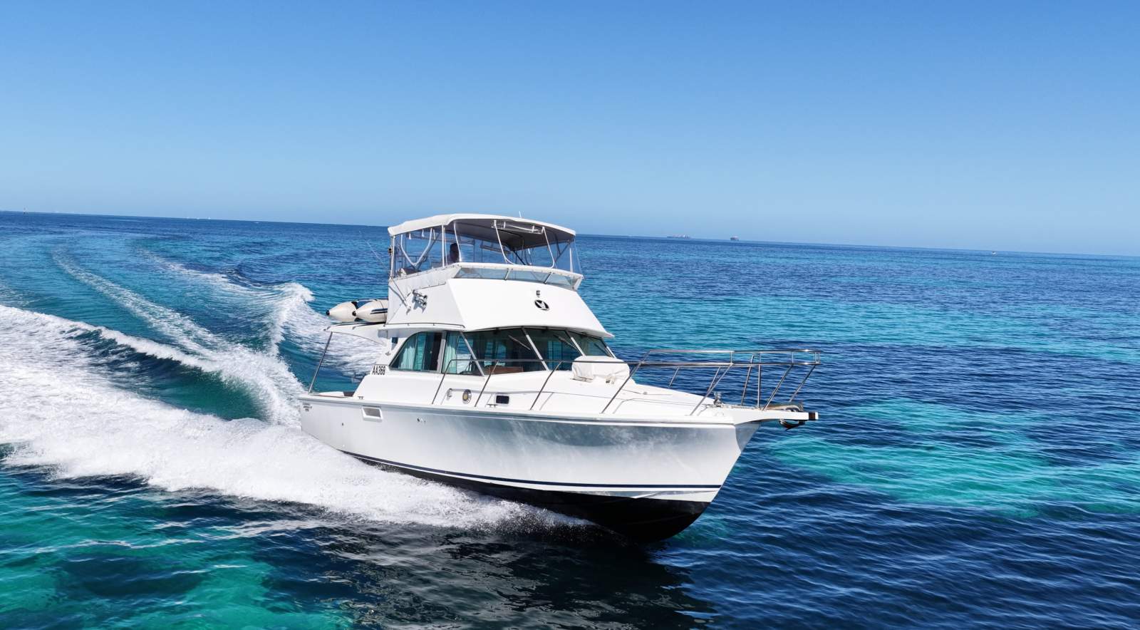 Bertram Caribbean 35:Beautiful performer.