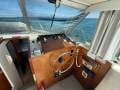 Bertram Caribbean 35