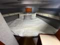 Bertram Caribbean 35