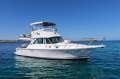 Bertram Caribbean 35