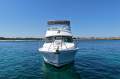 Bertram Caribbean 35