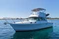 Bertram Caribbean 35