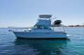 Bertram Caribbean 35