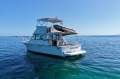 Bertram Caribbean 35