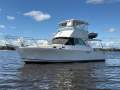 Bertram Caribbean 35