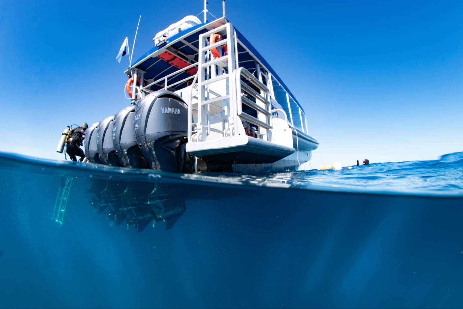 Woody 1200 Rigid Woody 12.5m Dive