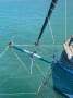 Grainger Trilogy Famous Racing Trimaran, Legendary Pedigree