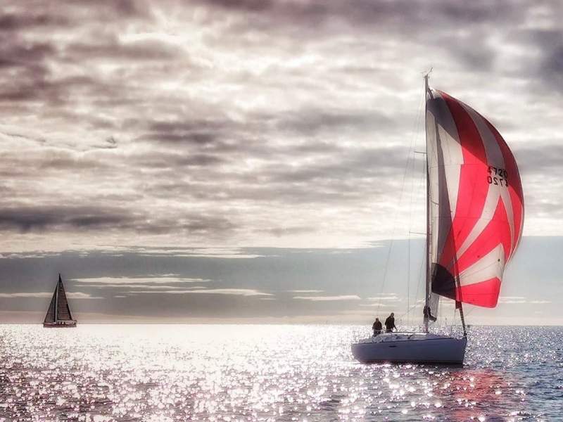 Beneteau First 33.7
