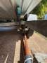 Quintrex 430 Estuary Angler Runabout