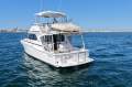Caribbean 40 Flybridge Cruiser