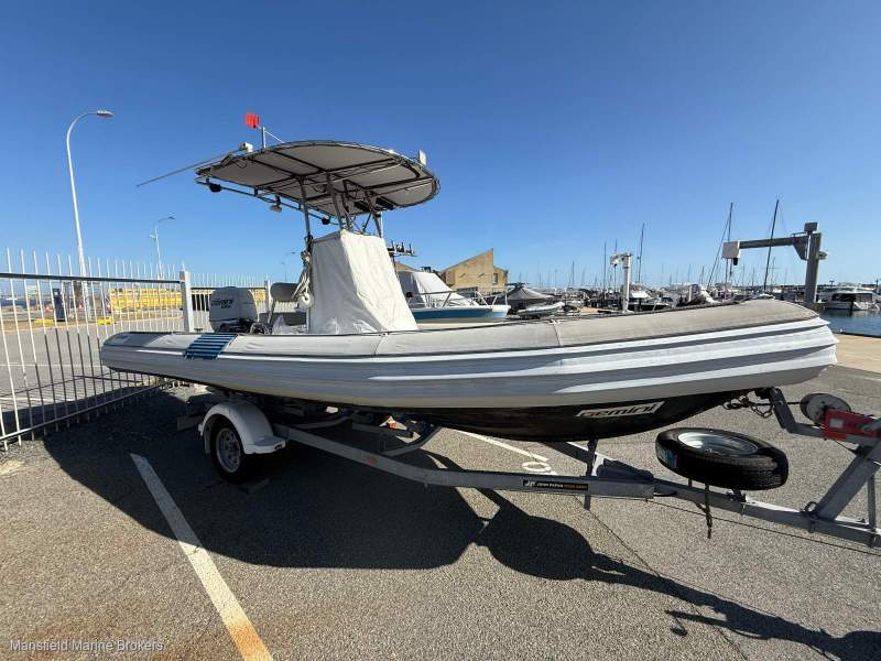 Gemini 6.3 RIB