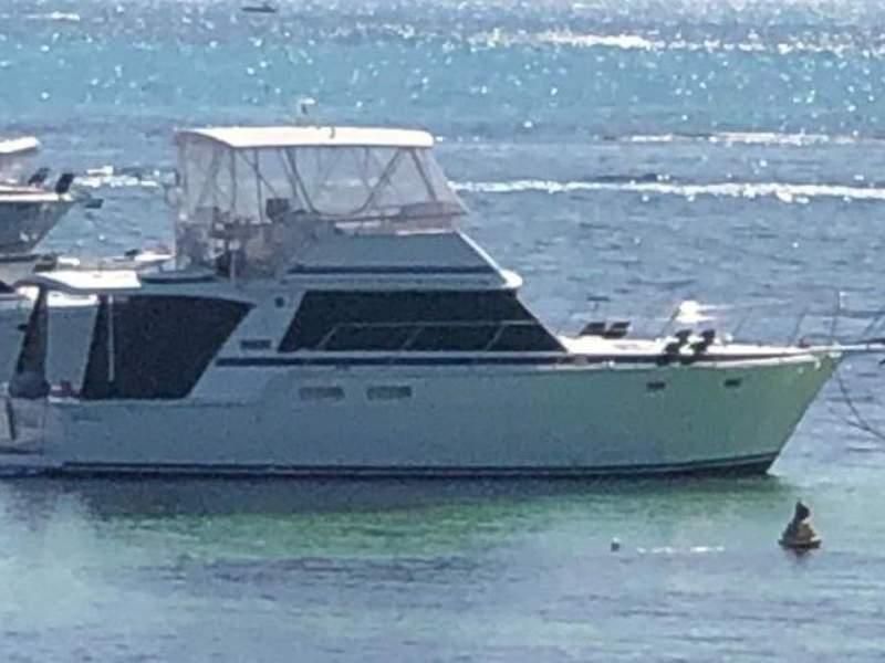 Bertram Caribbean 42 Well appointed with loads of features
