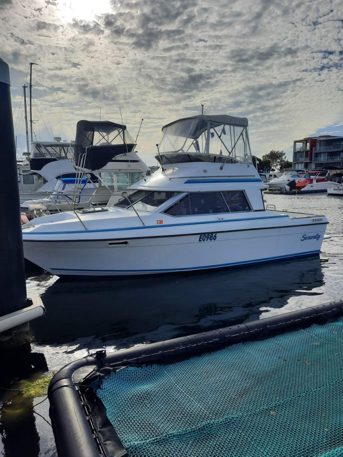 Bayliner