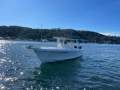 Bertram 25 25/28 Custom Centre Console