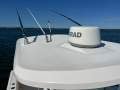 Sea Fox 286 Commander
