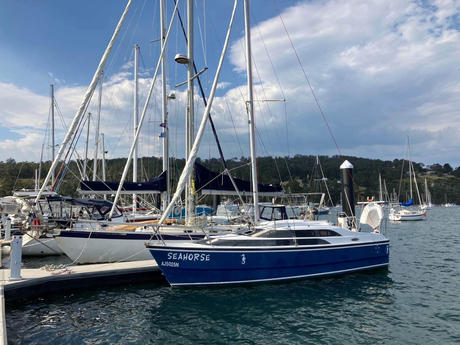 Macgregor 26M