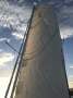 Macgregor 26M