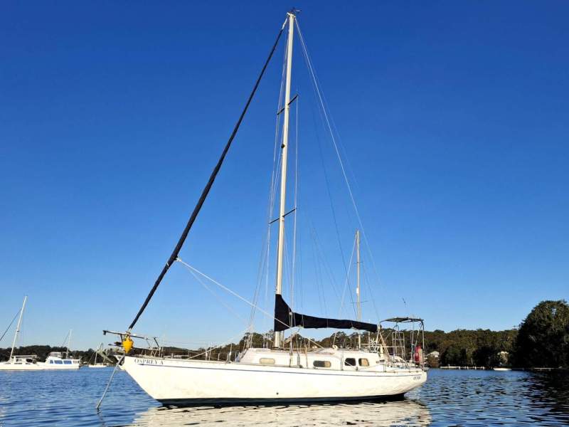Brolga 33