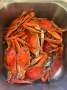 Savage Runabout - Family & Fishing Fun!:Catches all the crabs!