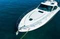 Sea Ray 48 Sundancer