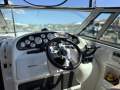 Mustang 3800 Sportcruiser