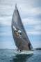 Sydney Yachts 47:Sydney 47CR for sale with Race Yachts