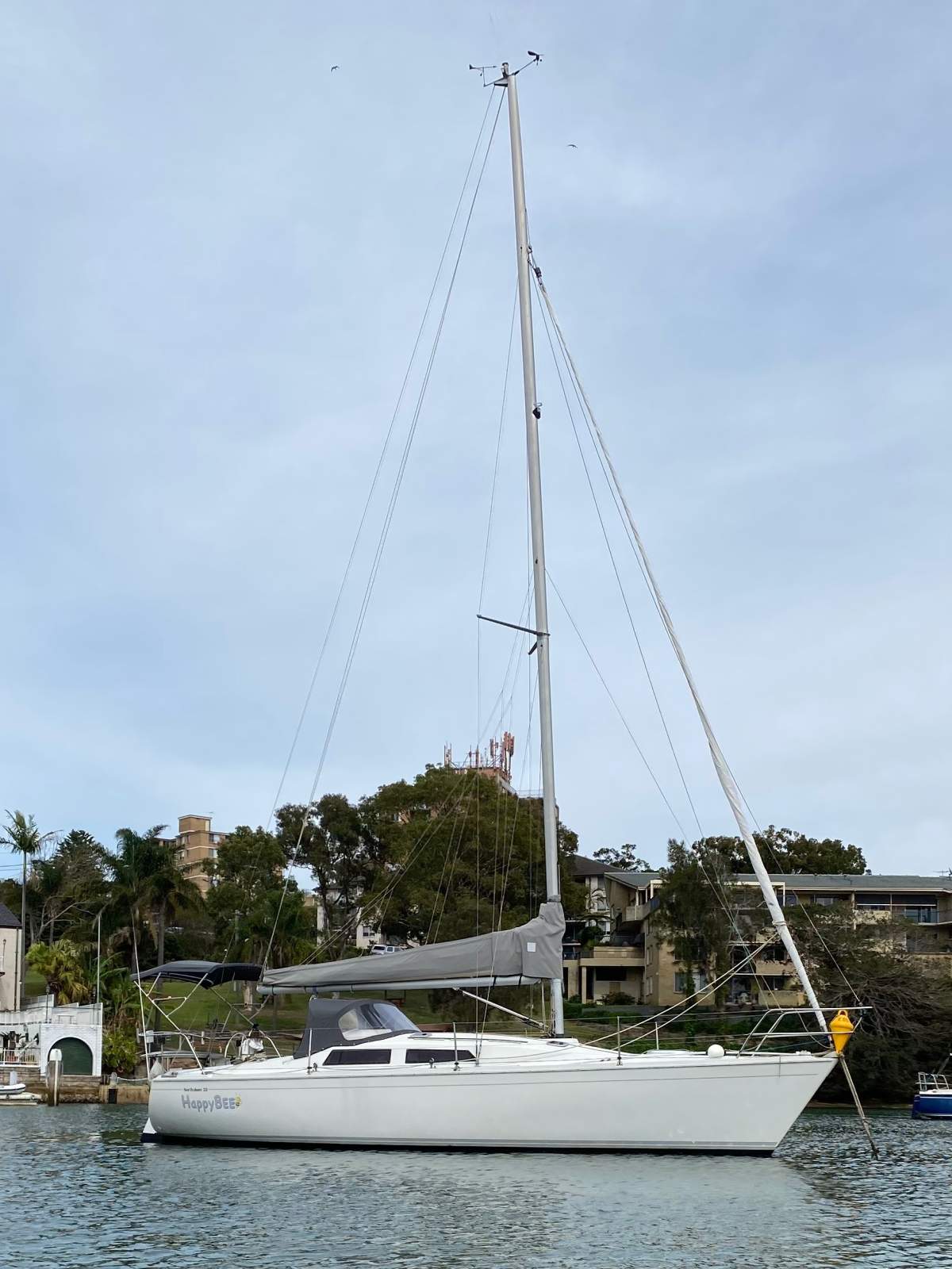Northshore 33