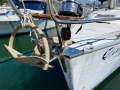 Bavaria 38