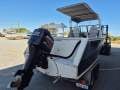 Dolphin 600 Tournament XL Plate Alloy runabout