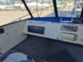 Dolphin 600 Tournament XL Plate Alloy runabout