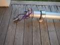Swarbrick JS8000 Fast Sailing One Owner With Options (Perth WA)