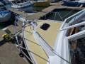 Sharpie Style Timber Bay Cruiser