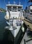Sharpie Style Timber Bay Cruiser