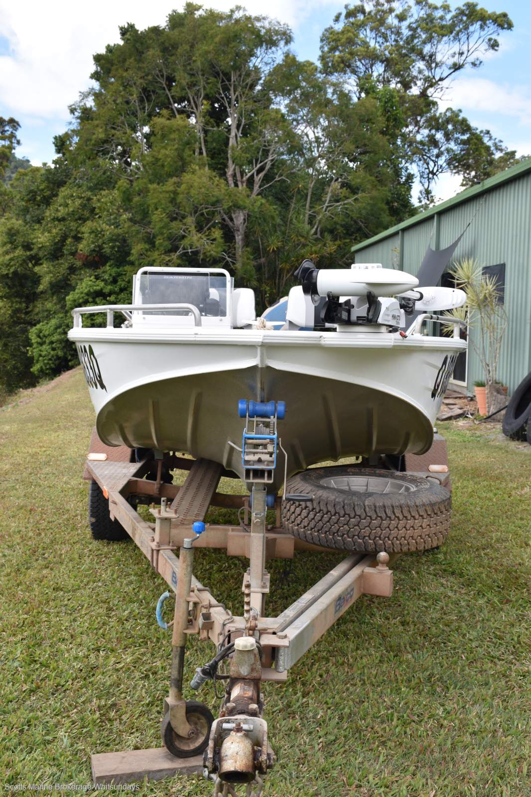 Quintrex 435 Hornet Trophy