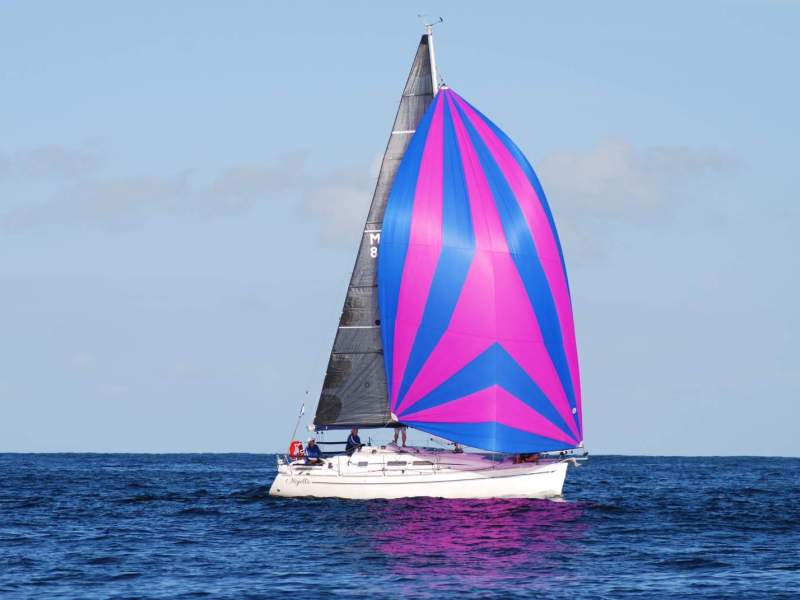 Elan 31