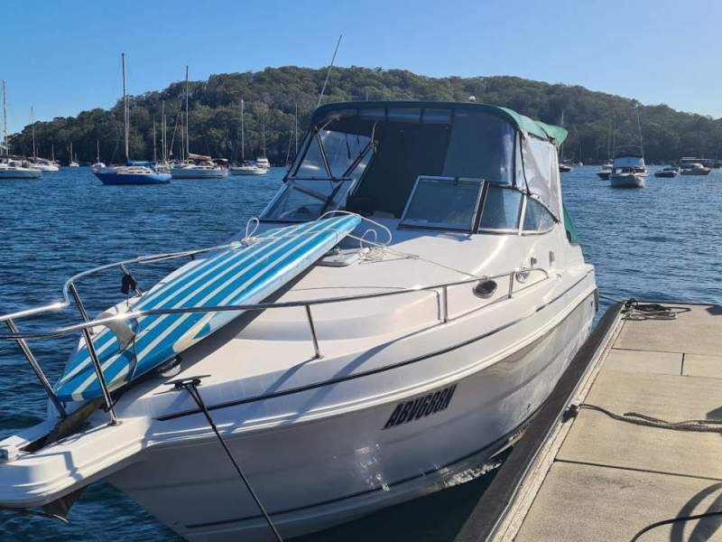 Wellcraft 2600 Se Martinique